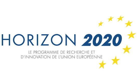 Horizon 2020 (H20201, H20202)