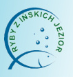 Inskie Centrum Rybactwa (ICR)