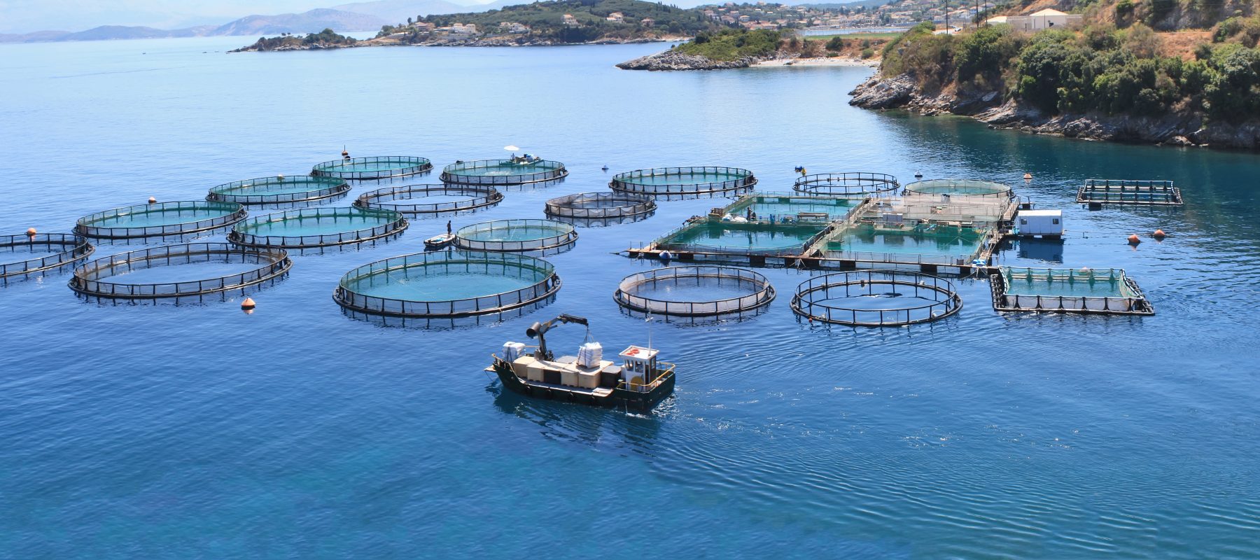 https://www.poleaquimer.com/wp-content/uploads/2020/06/aquaculture11.jpeg