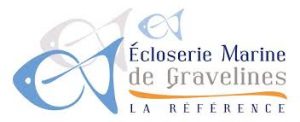 Écloserie Marine de Gravelines