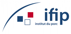 IFIP