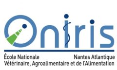 ONIRIS