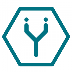 Ynsect