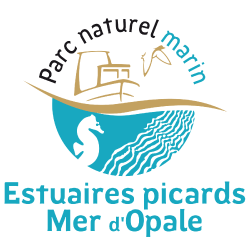 Parc naturel marin des estuaires picards et de la mer d’Opale