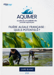 Filière algale française : quels potentiels ?